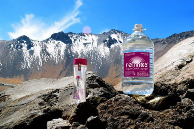 reinnoa.com